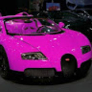 Meet your Posher, Alphonzo